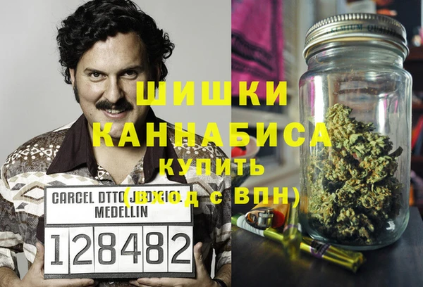 амф Алексин